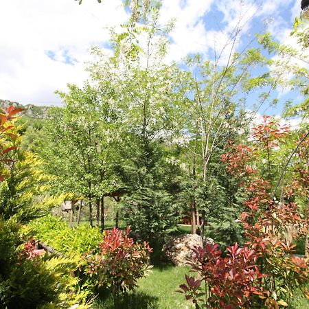 Lugina E Shengjergjit ,Bujtinat Villa Tirana Kültér fotó