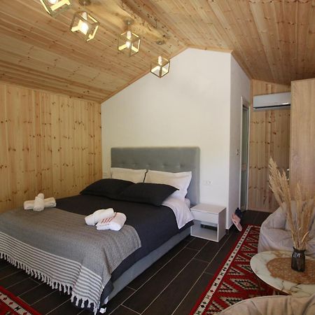 Lugina E Shengjergjit ,Bujtinat Villa Tirana Kültér fotó
