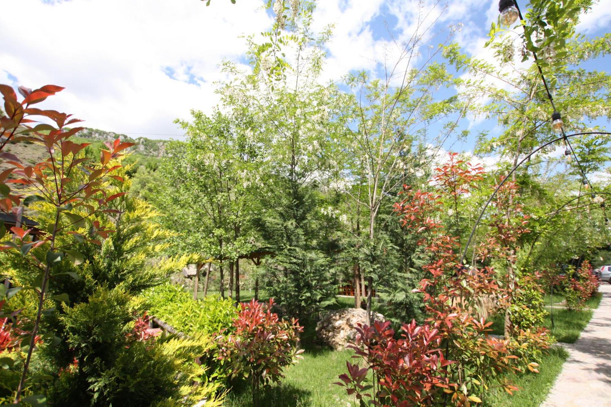 Lugina E Shengjergjit ,Bujtinat Villa Tirana Kültér fotó